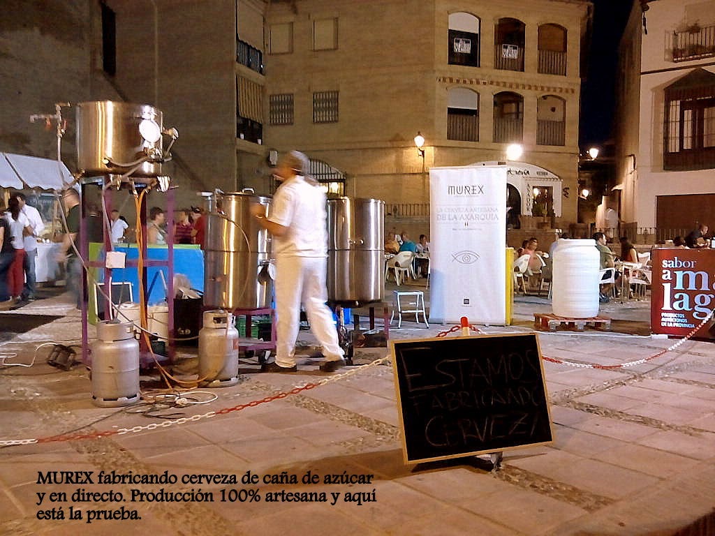 Compositor Cósmico Búho Noche en Vela en Vélez-Málaga 2014 con Sabor a Málaga.