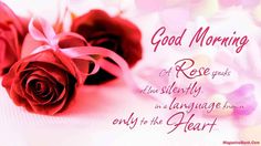 good morning romantic rose