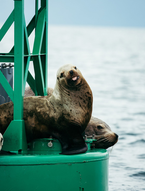 [Image: alaska2-dong-song-bang-9.jpg]