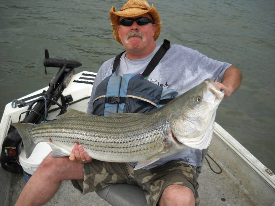 Fish On! Guided Tours. Knoxville, Tn Knoxville Tennessee's Premier