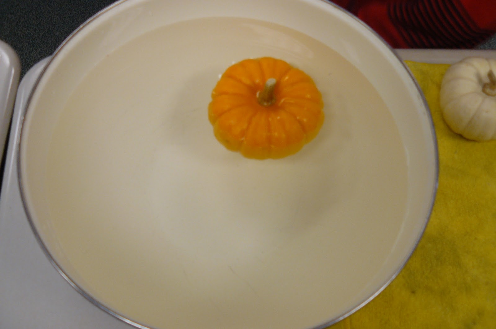 Learning in Room 206: Pumpkin Week - Sink or Float?