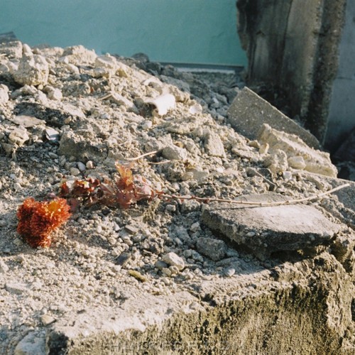 Leaves Black – 수 마디 사랑 – Single