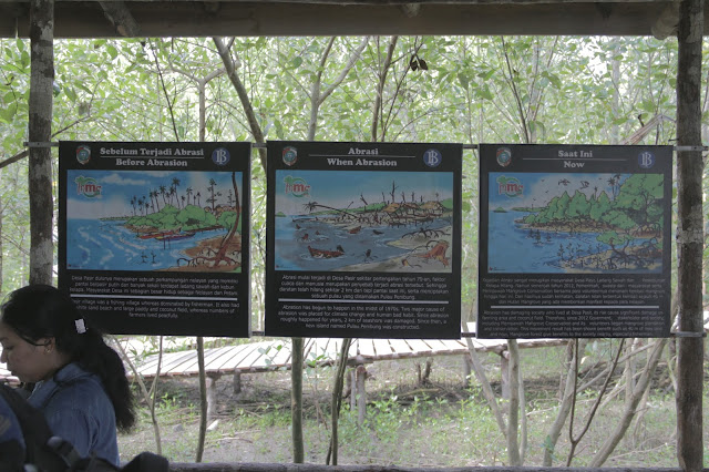 Membangun Potensi Pesisir dengan Mempawah Mangrove Park