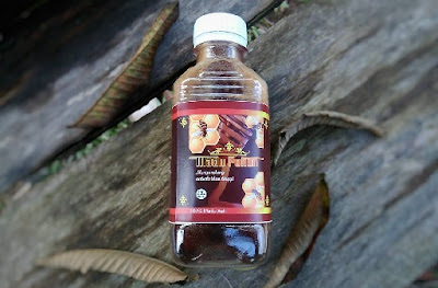 Madu Pohon, Madu Asli Hutan Siak Bisa untuk Oleh-Oleh Kalau Berkunjung ke Siak Madu Pohon, Madu Asli Hutan Siak Bisa untuk Oleh-Oleh Kalau Berkunjung ke Siak