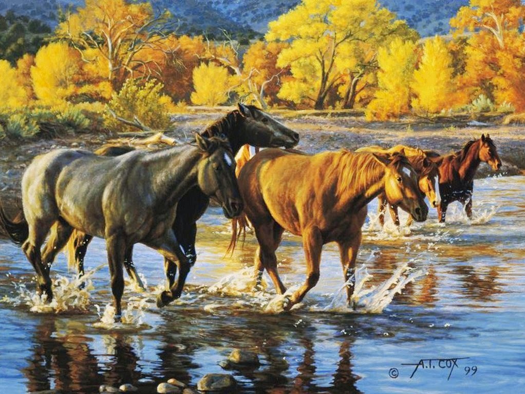 caballos-pintados