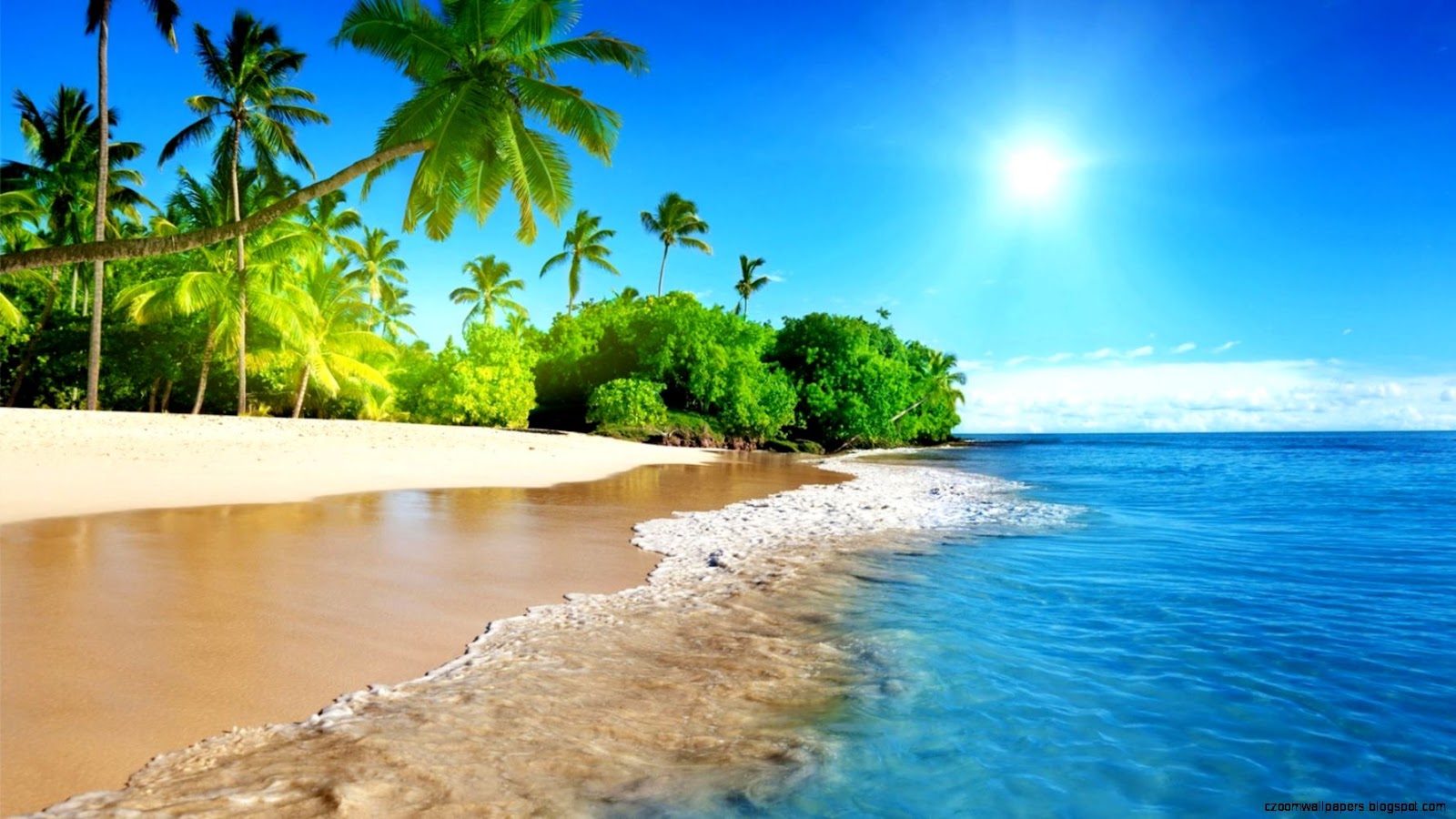Tropical Sun Beach
