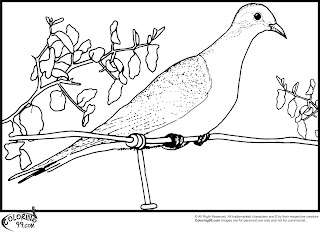 dove coloring pages