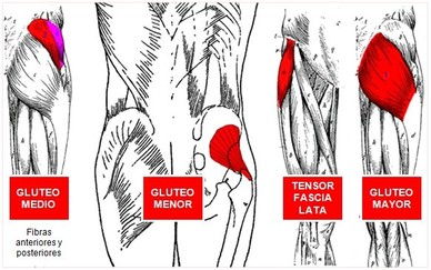2 minutos guían en ejercicios para el dolor lumbar