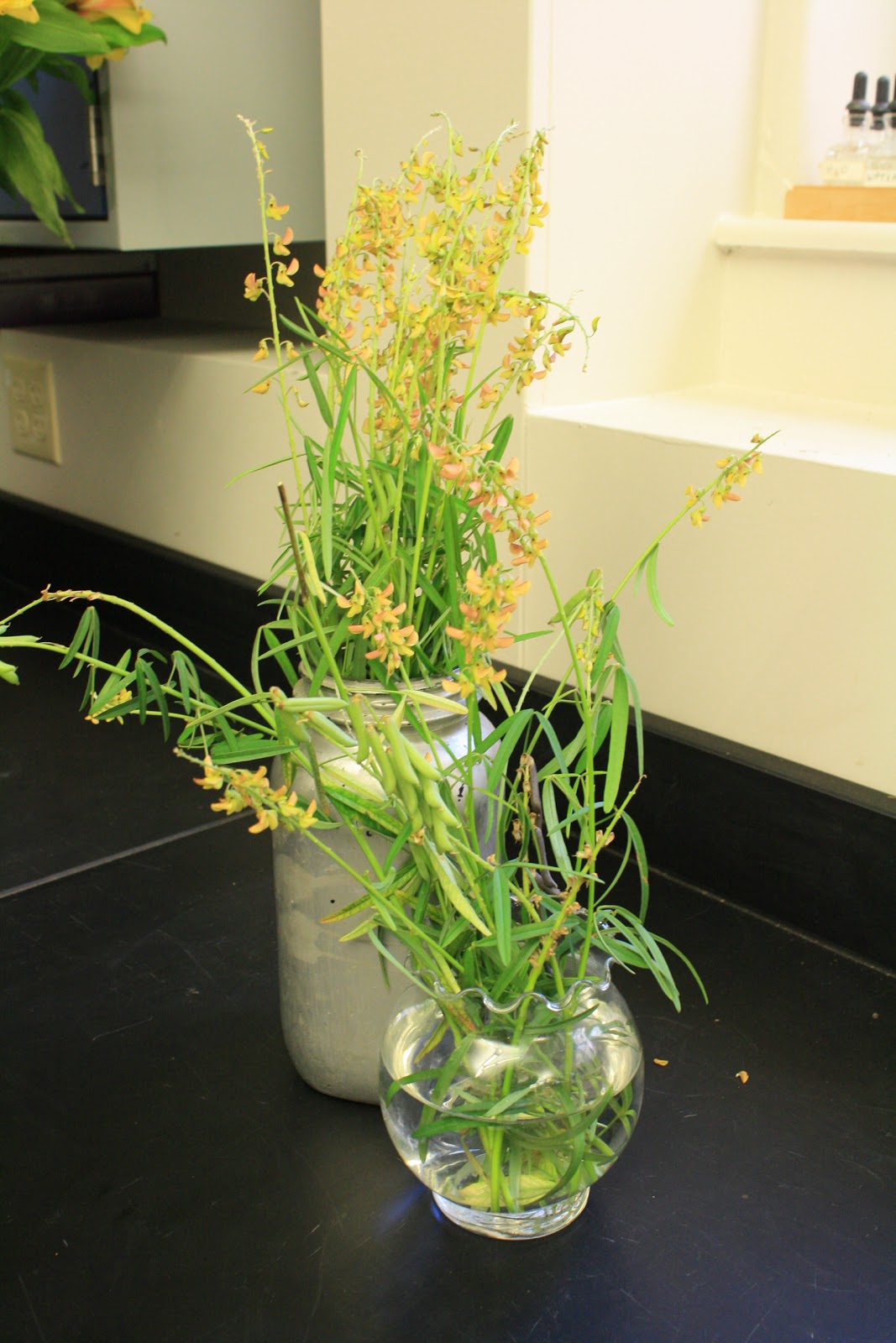 Alstroemeria Flower Parts