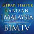 1Malaysia TV
