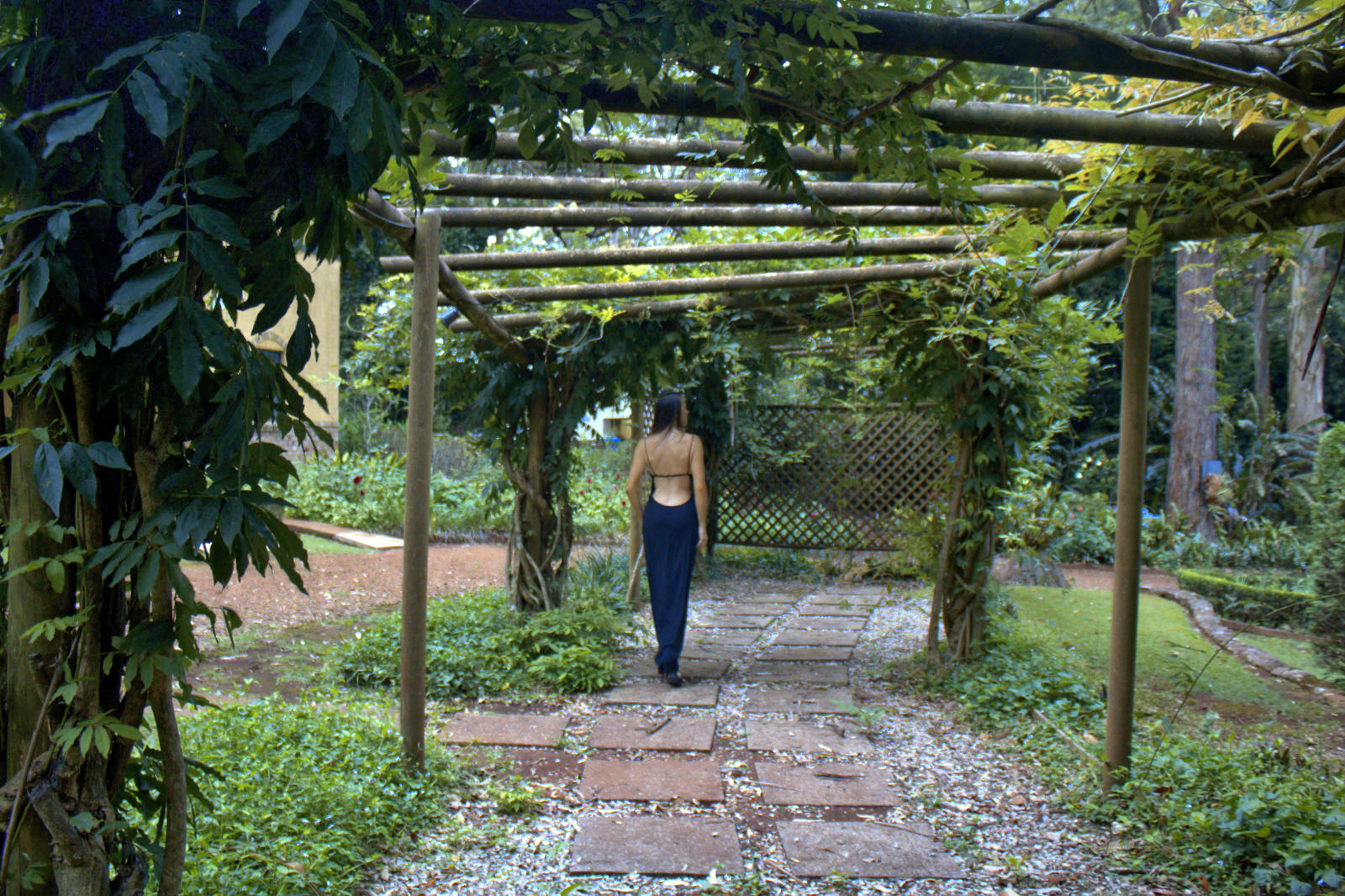 The Castle on Tamborine Mountain My Fairy Tale Story