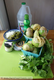 ingredients for salsa verde with roasted hatch chiles