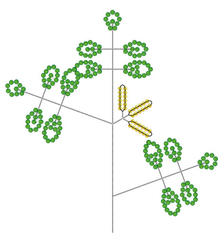 Схема дерева из бисера для начинающих. Поделки из бисера схемы деревья. Бисера дерево схемки. Бисер деревья схемы. Бисероплетение схемы деревья плоские.