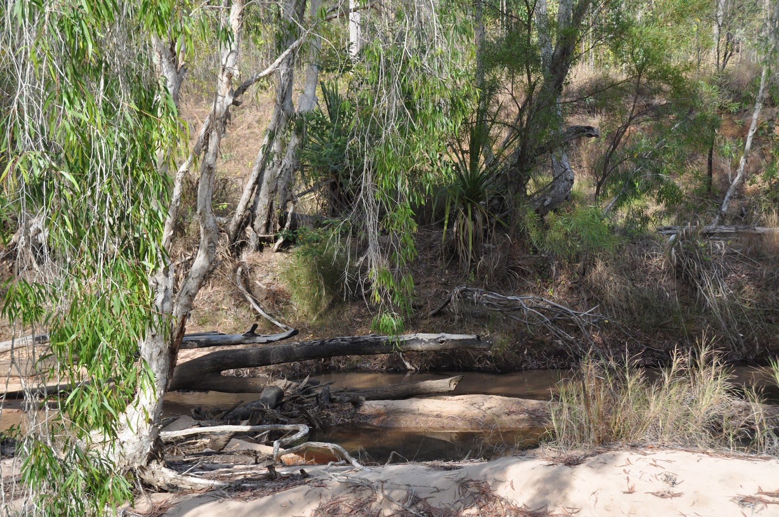 BarbaraTVan: BARBARA'S KIMBERLEY ADVENTURE - THE GIBB RIVER ROAD TO ...