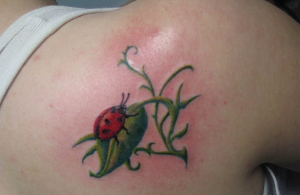 tatto: Ladybug Tattoos