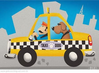 táxi para pets 