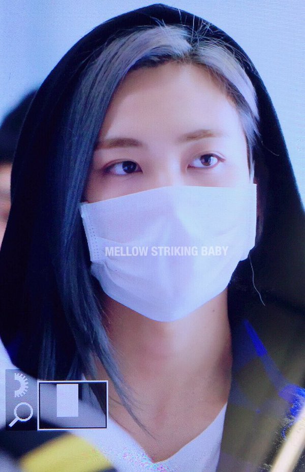 세븐틴 정한 최근 장발 소화력 | 인스티즈