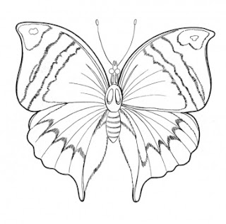 butterfly coloring pages | Learn To Coloring