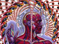 Tool, Lateralus