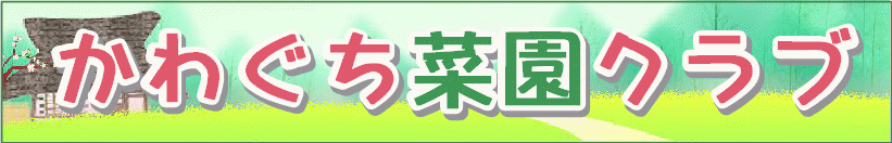 場所も道具も借りれる月２千円の体験農園