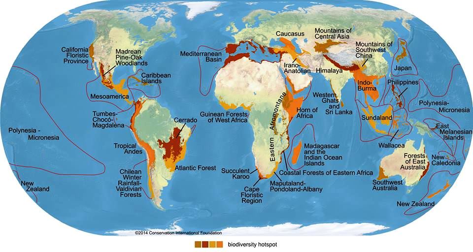 BLOG DO PROFESSOR ROBERTO VIEIRA LIMA Hotspots de biodiversidade