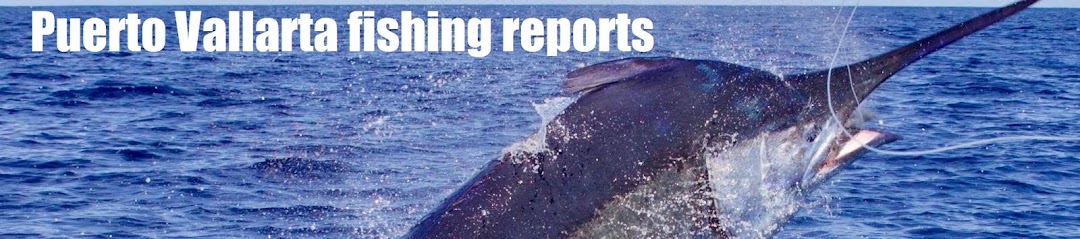 Puerto Vallarta fishing reports 