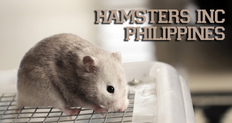 Hamsters Inc., (Philippines)