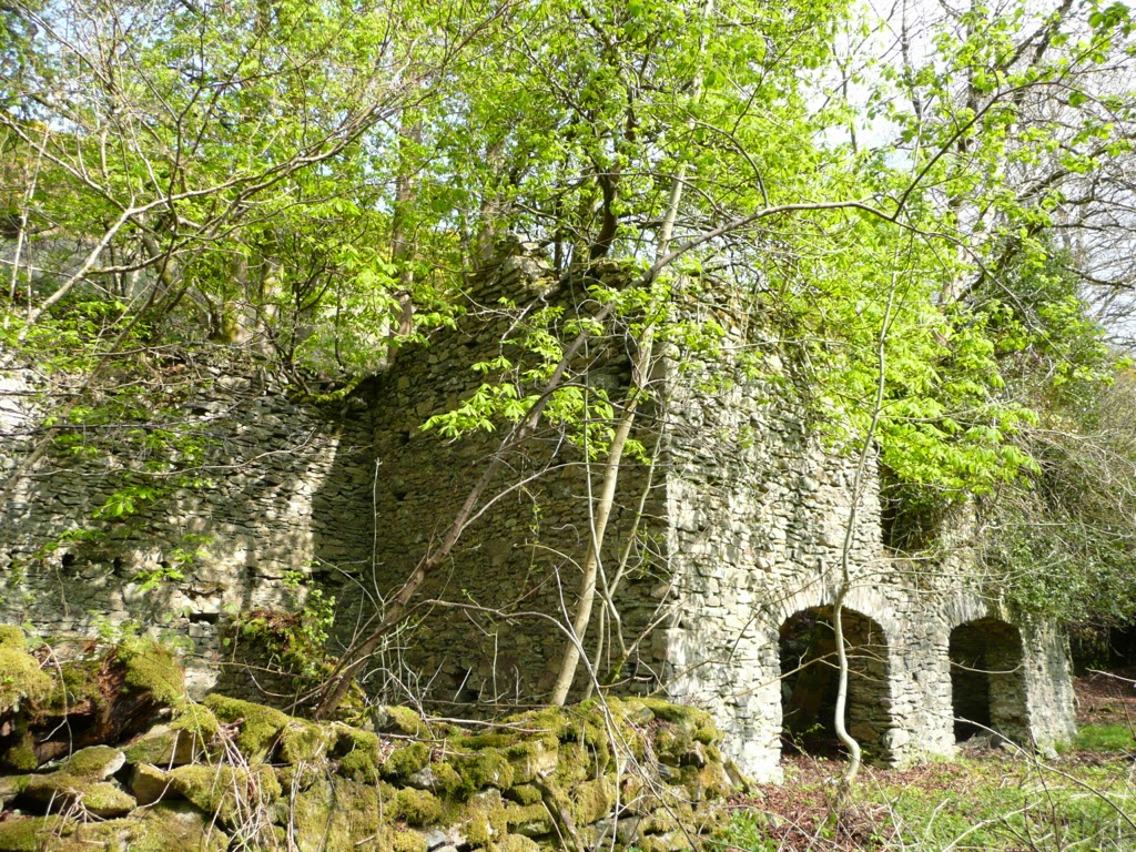 Stock Wood Farm, 45 acres of Stunning Exmoor Land For Sale Grazing