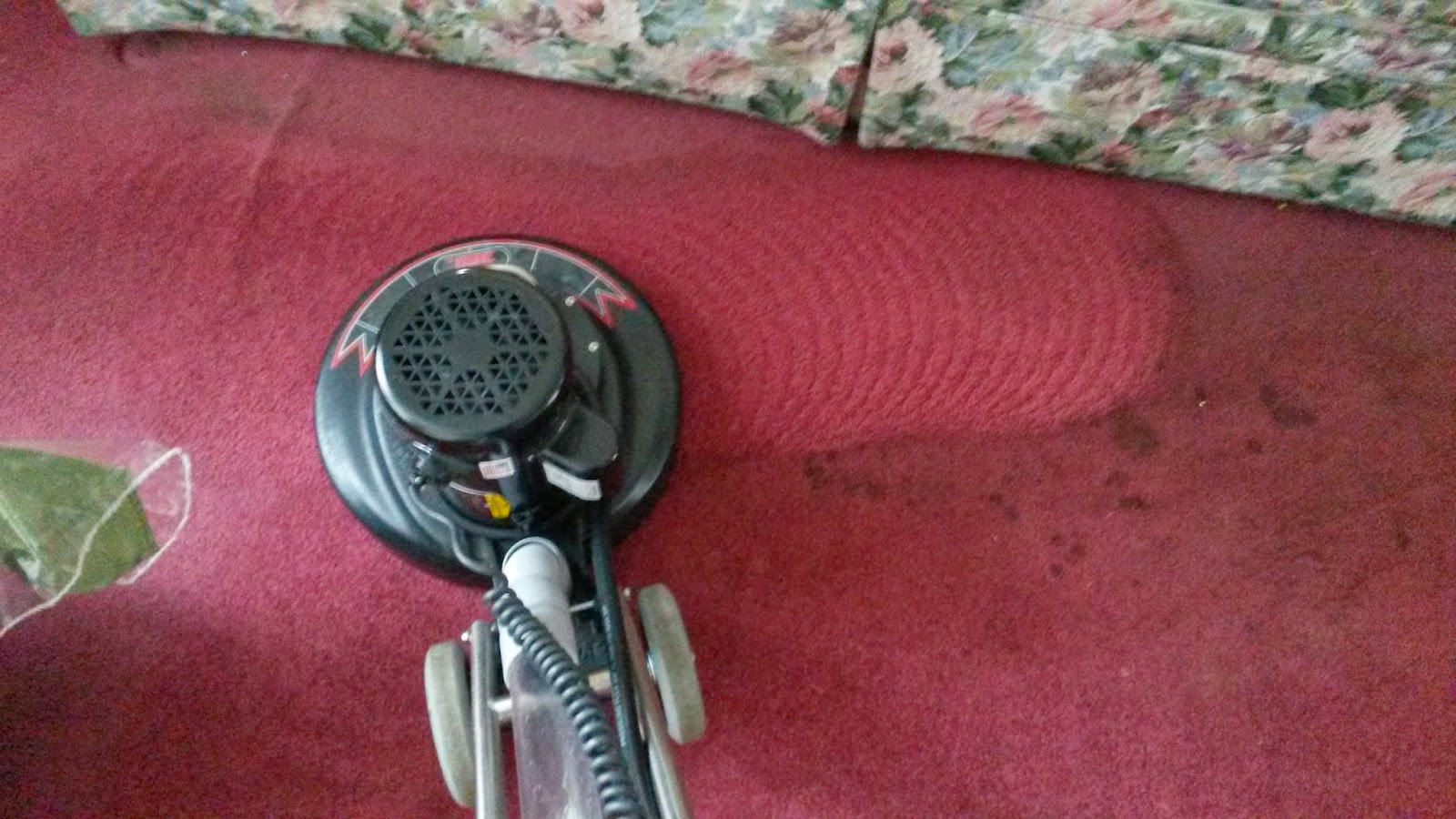 Jackson Carpet Cleaning in Jackson NJ