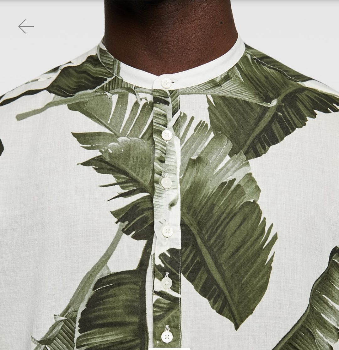 zara tropical print shirt