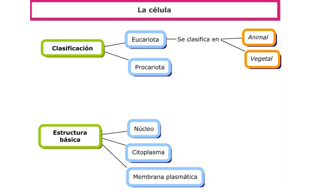 Mapa Conceptual De La Celula Animal Y Vegetal fsharpay18.blogspot.com