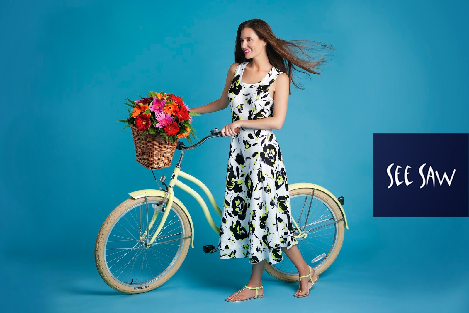 Bondi Beach Cruisers bondi-beach-cruisers