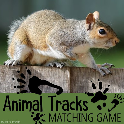 Animal Tracks Matching Game in an Altoid Tin // In Our Pond // kids games // DIY // printable // free printable // crafts // camping // summer camp // learning // summer learning // homeschool  // montessori