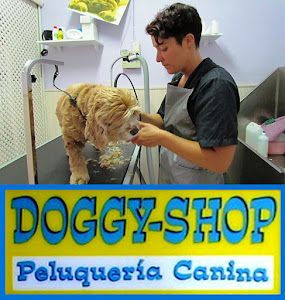 Peluqueria Doggy-Shop Boadilla del Monte