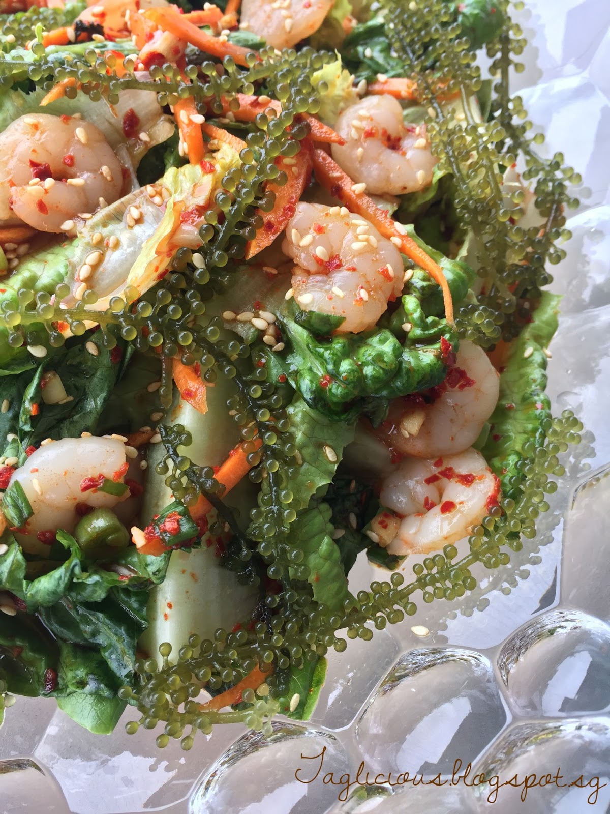 TAGlicious Korean Salad with Shrimps & Beautiful Sea Grapes Seaweed