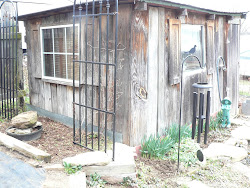 chicken coop louis st wooly west organic potting shed located rock under he which