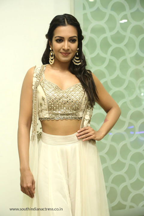 Catherine Tresa at Gautham Nanda success meet