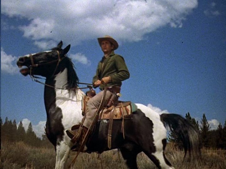 Sweethearts Of The West The Beautiful Pinto Horse by Cheri Kay Clifton