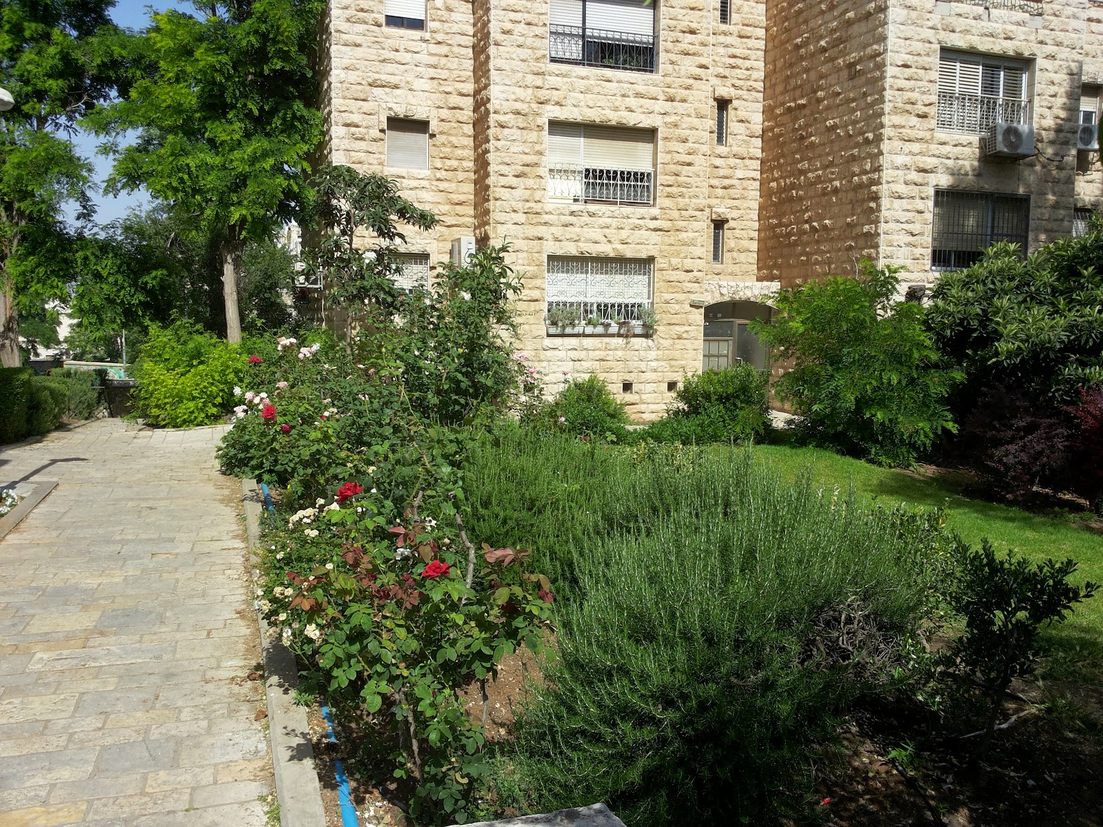 A Jewish Grandmother Jerusalem Day, Celebrating Ramat Eshkol