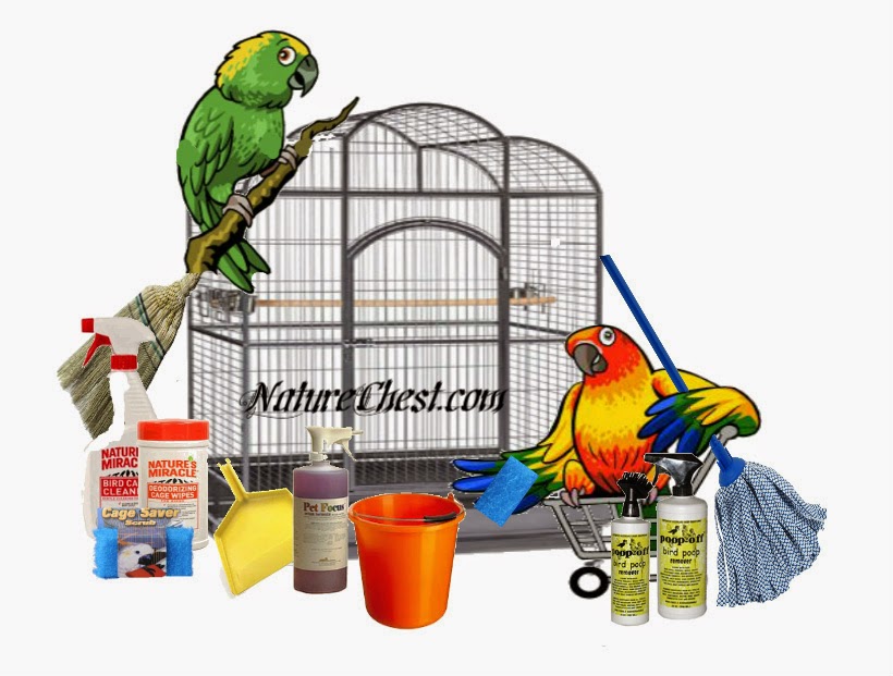 Parrot Blog ParrotPressNews Got the Spring Cleaning Bug?