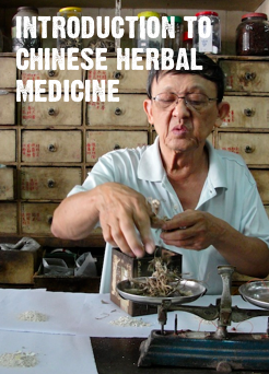 introduction to traditional chinese medicine and medicinal herbs