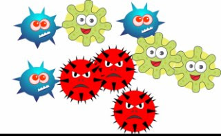 How to avoid human viral diseases