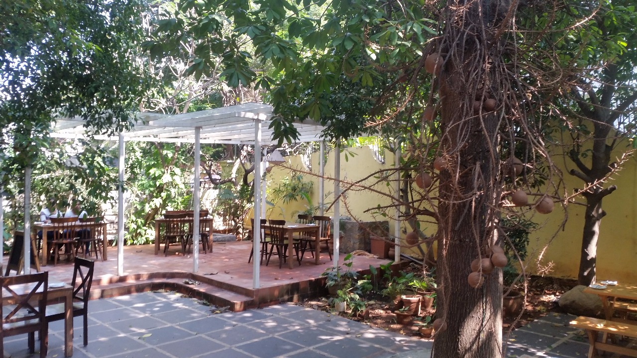 Autumn Leaf Café: Good Food Amidst Serene Surroundings | Foodaholix