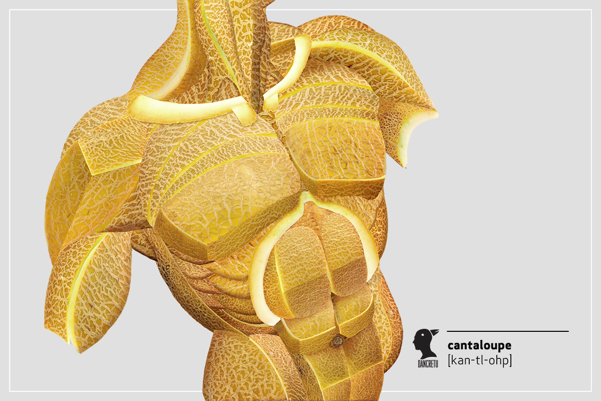 Design Stack: A Blog about Art, Design and Architecture: Human Anatomy