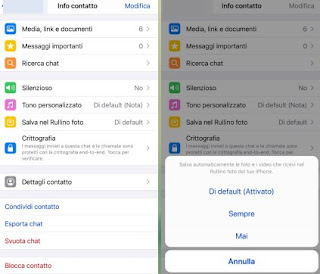 Multimedia WhatsApp Spazio WhatsApp