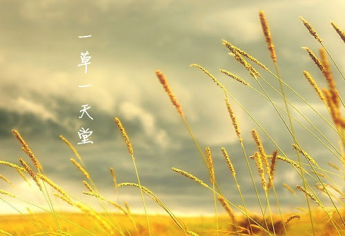 改變你一生的14句話