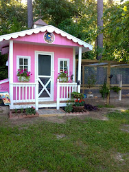 chicken coop coops chickens pretty hen tv colors inspiration pink challenge speedy come fun houses very hens coolest boxertown pinkie