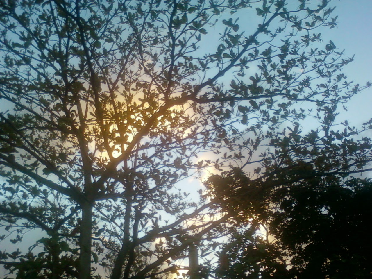 Partager avec plaisir - Recettes de cuisine faciles et idées de ...