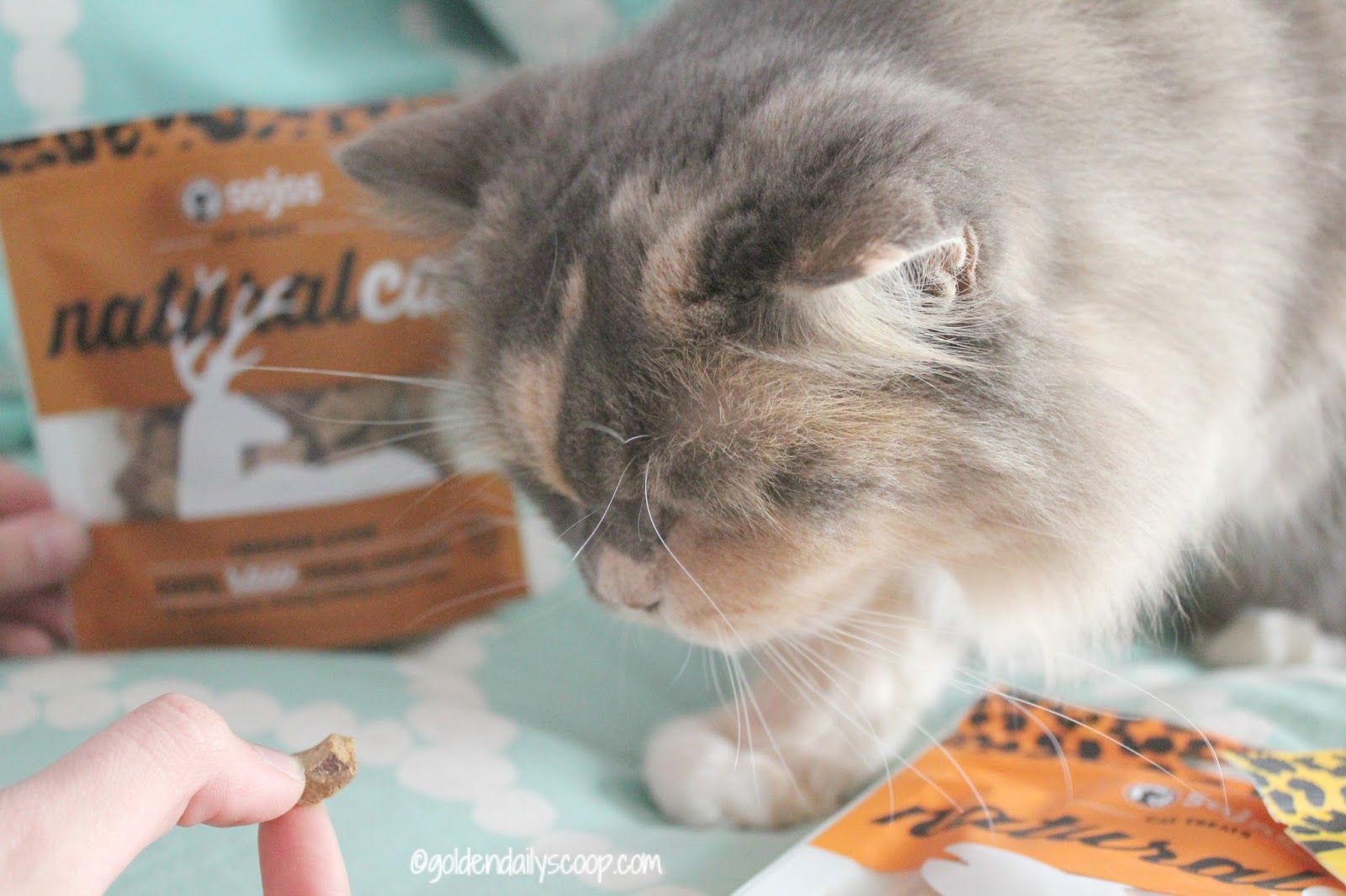 Sojos Raw Cat Treats