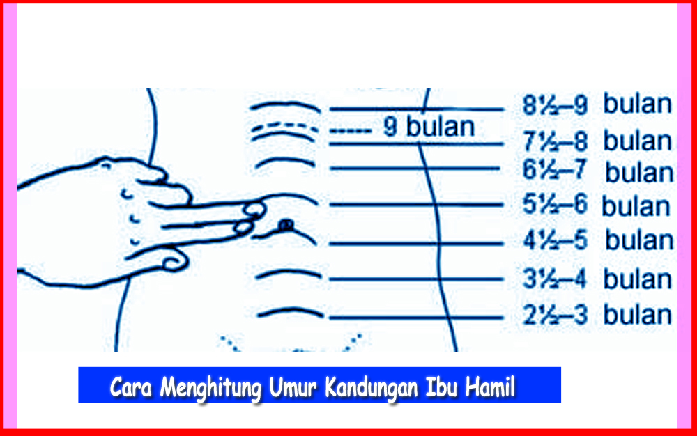 Rumus Menghitung Umur Kehamilan Rumus Menghitung Umur Kehamilan
